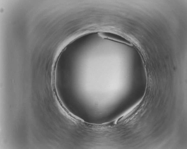 X0000060781528200511241806