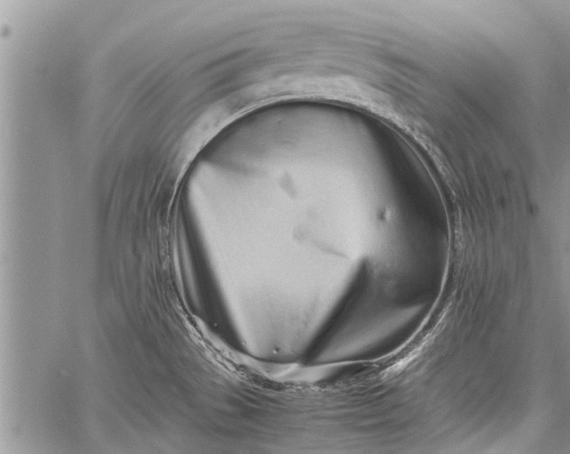 X0000060781529200511241806