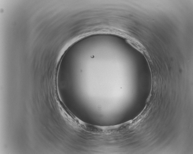 X0000060781530200511241806