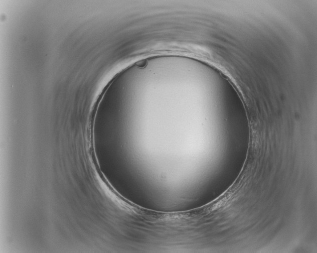 X0000060781531200511241806