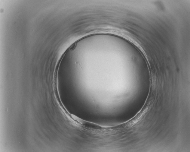 X0000060781533200511241807