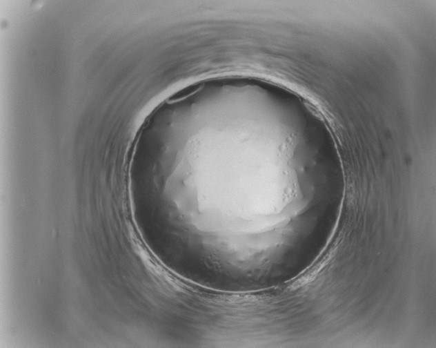 X0000060781534200511241807