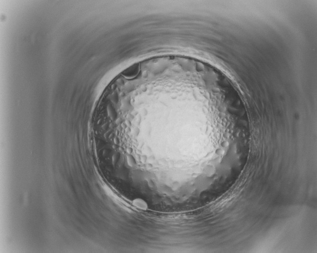 X0000060781535200511241807