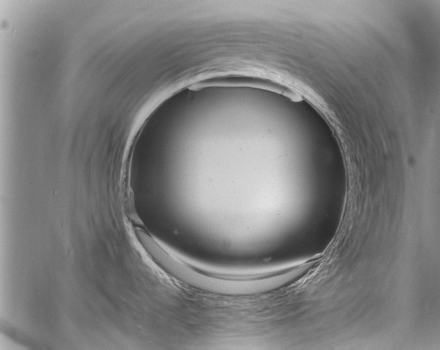 X0000060781536200511241807