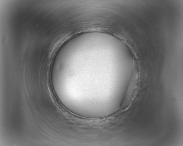X0000060780001200512011651