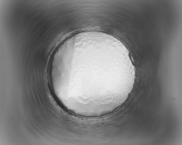 X0000060780002200512011651