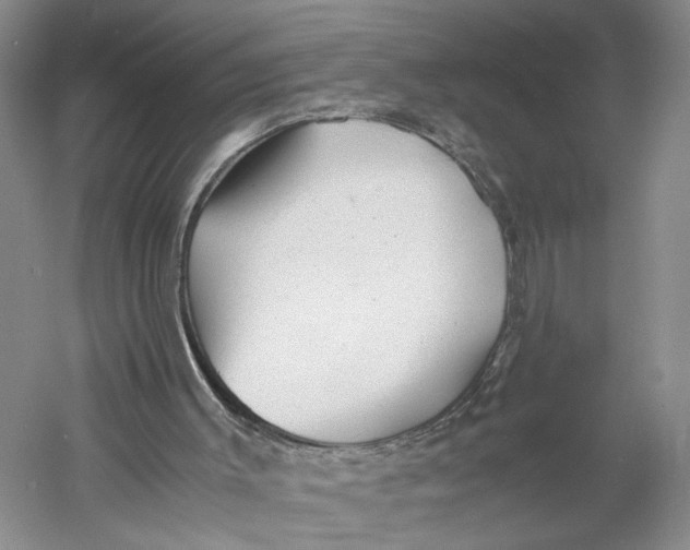 X0000060780003200512011651