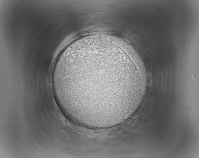 X0000060780004200512011651