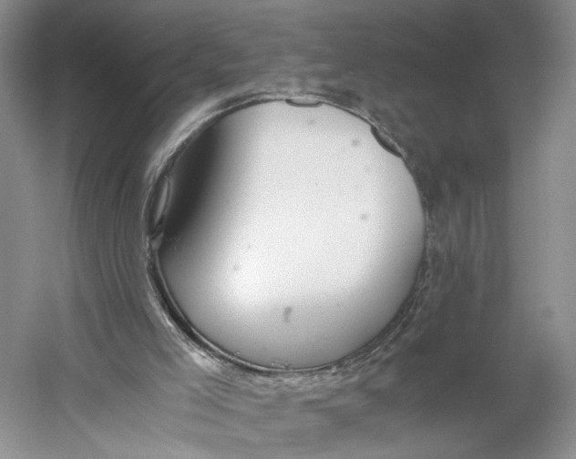 X0000060780005200512011651