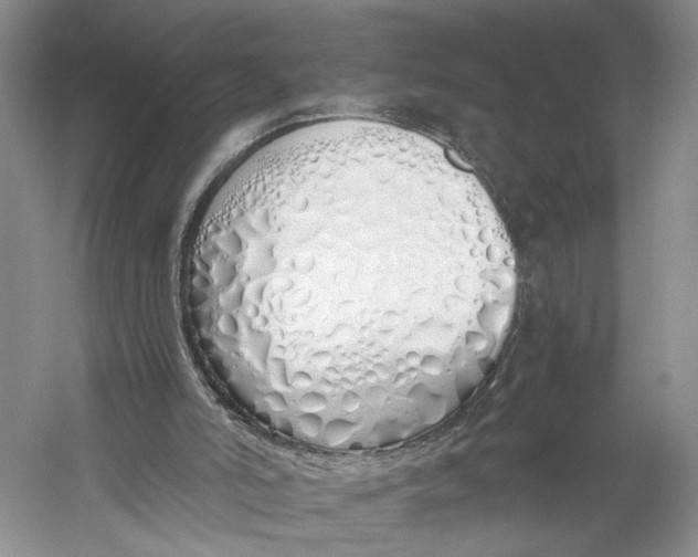 X0000060780006200512011651