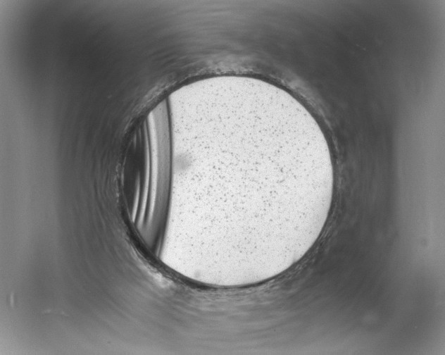 X0000060780009200512011651