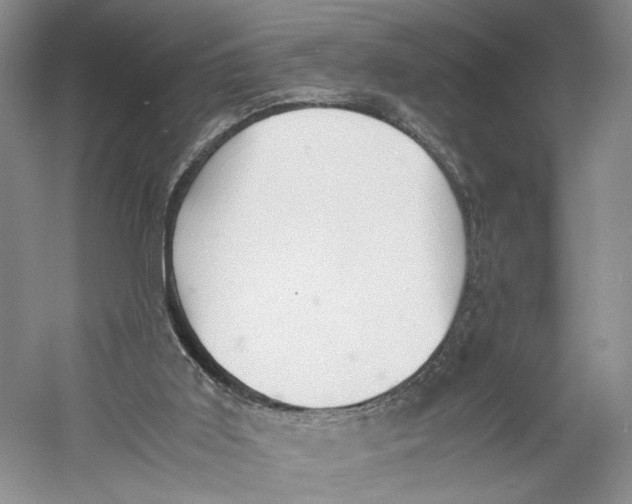 X0000060780011200512011651