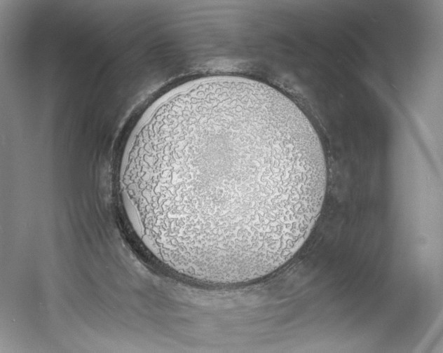 X0000060780012200512011651
