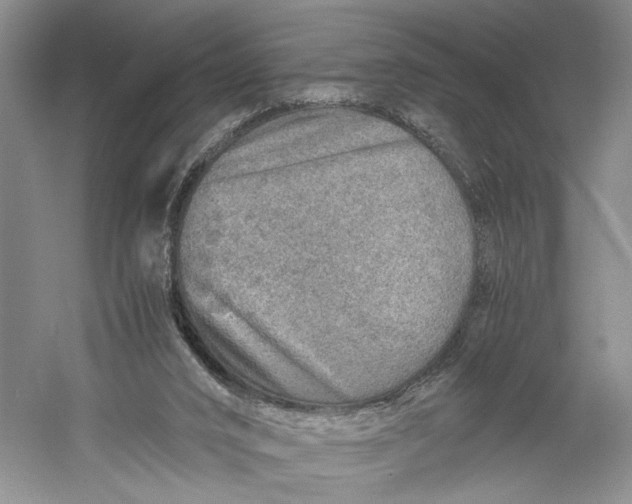 X0000060780016200512011651