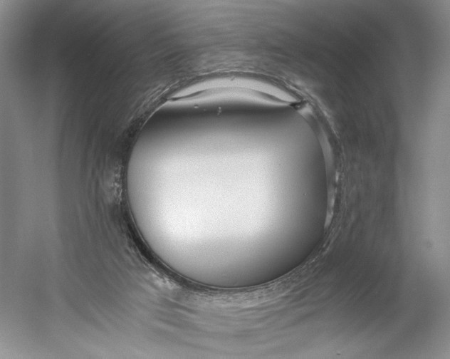 X0000060780017200512011651