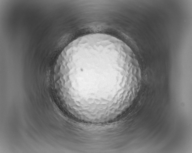 X0000060780018200512011651