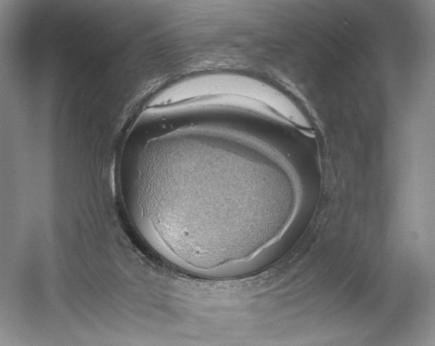 X0000060780019200512011651