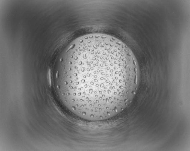 X0000060780022200512011651