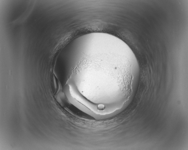 X0000060780023200512011651