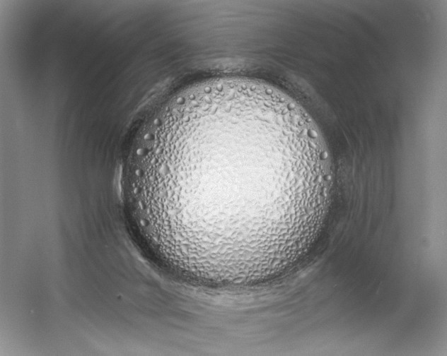 X0000060780024200512011651