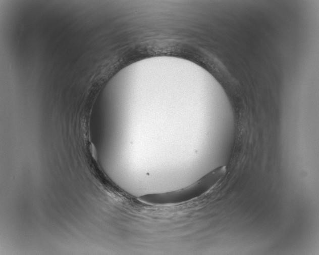 X0000060780025200512011651