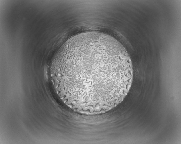 X0000060780026200512011651