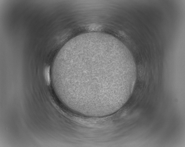 X0000060780028200512011651