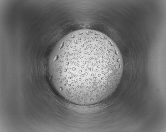 X0000060780030200512011651