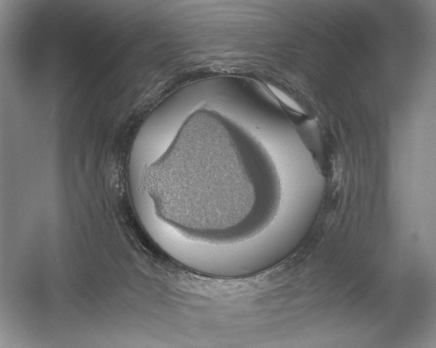 X0000060780031200512011651