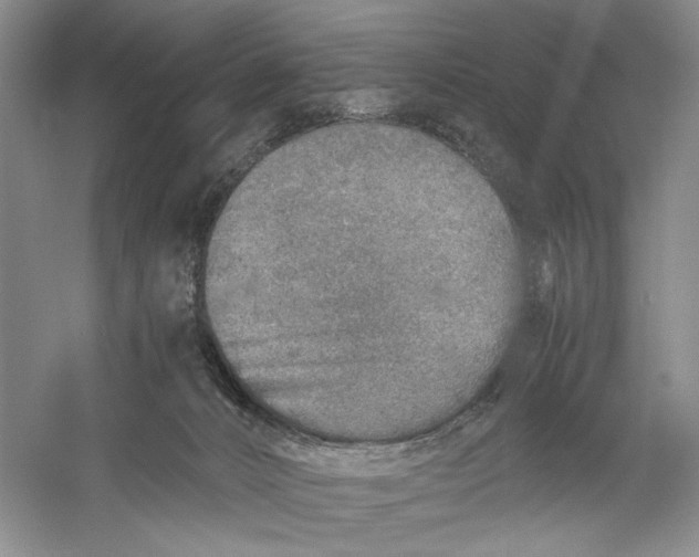 X0000060780032200512011651