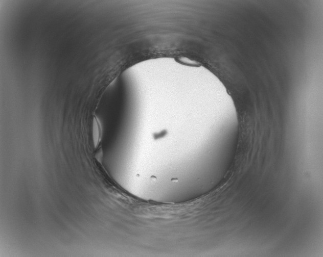 X0000060780033200512011651