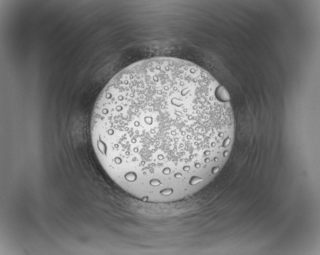 X0000060780034200512011651