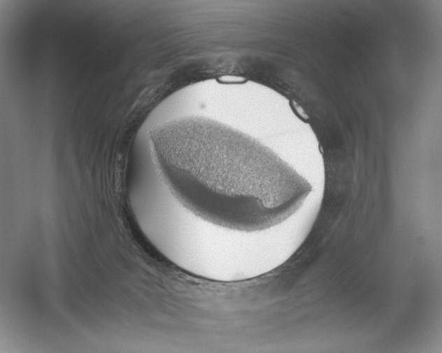 X0000060780035200512011651