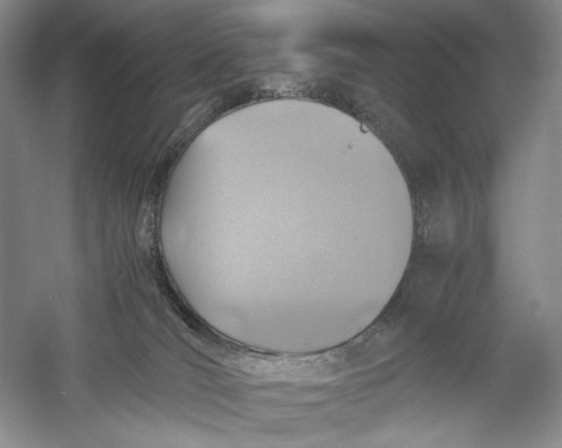 X0000060780036200512011651
