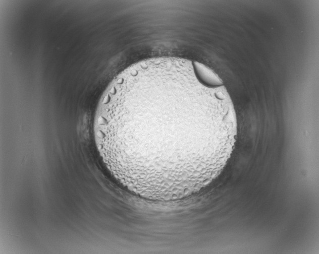 X0000060780038200512011651