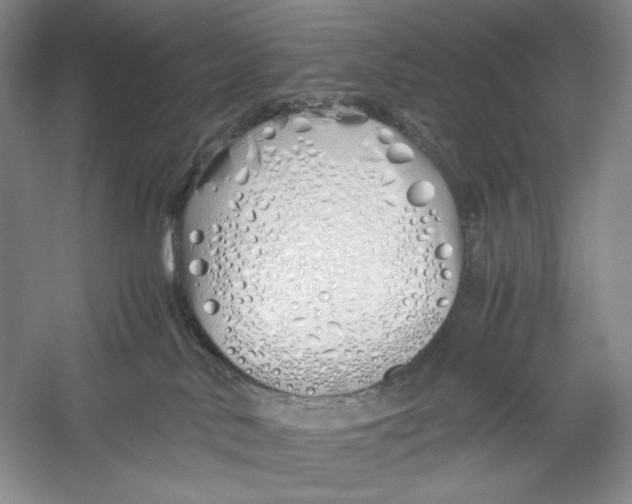 X0000060780042200512011651