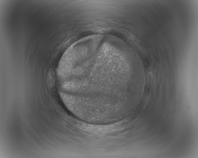 X0000060780043200512011651