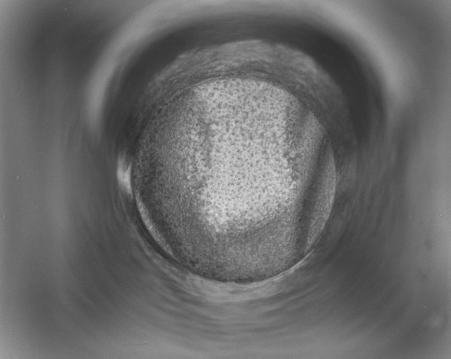X0000060780047200512011651