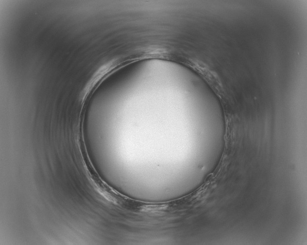 X0000060780051200512011650