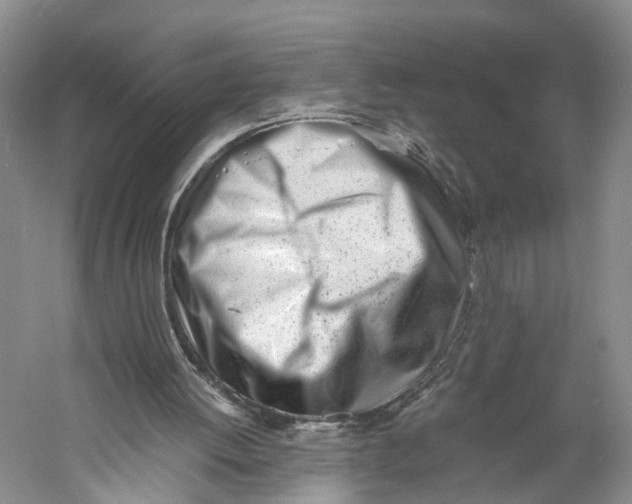 X0000060780052200512011650