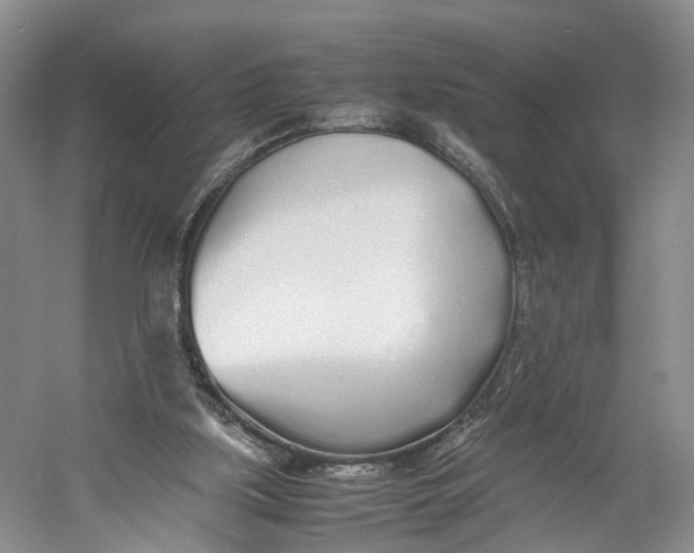 X0000060780059200512011650
