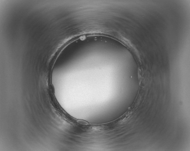 X0000060780060200512011650