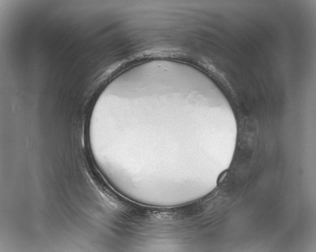X0000060780062200512011650