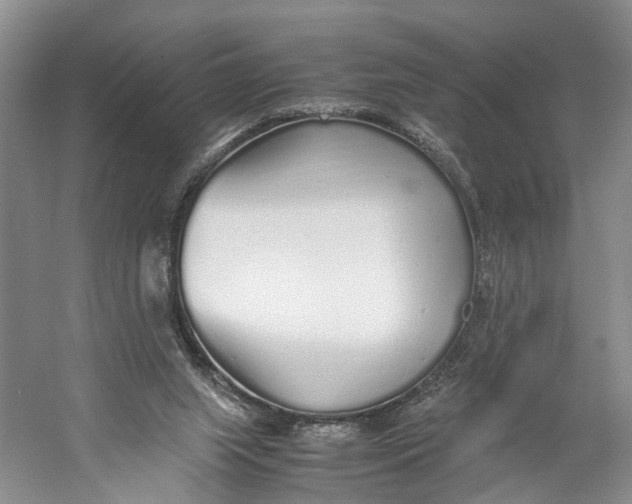 X0000060780063200512011650