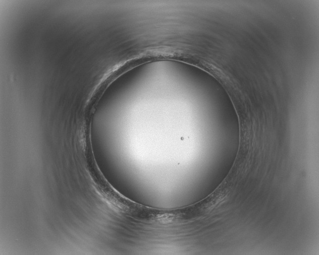 X0000060780064200512011650