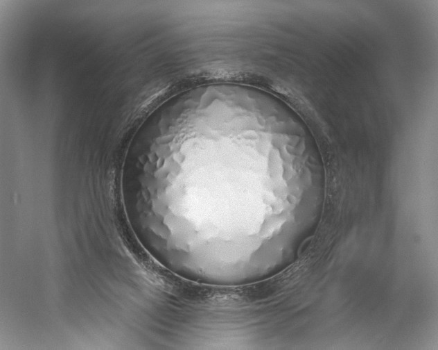 X0000060780066200512011650