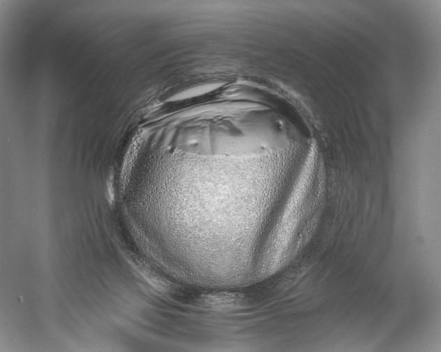 X0000060780069200512011650