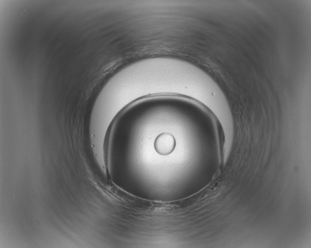 X0000060780072200512011650