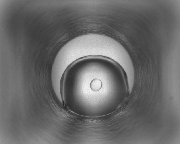 X0000060780073200512011650