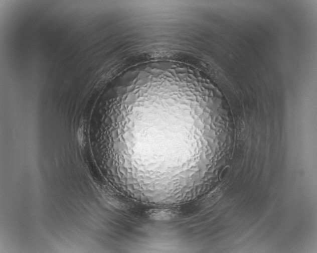 X0000060780074200512011650